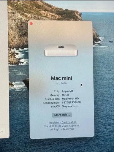 Apple Mac mini シルバー 16GB 1TB