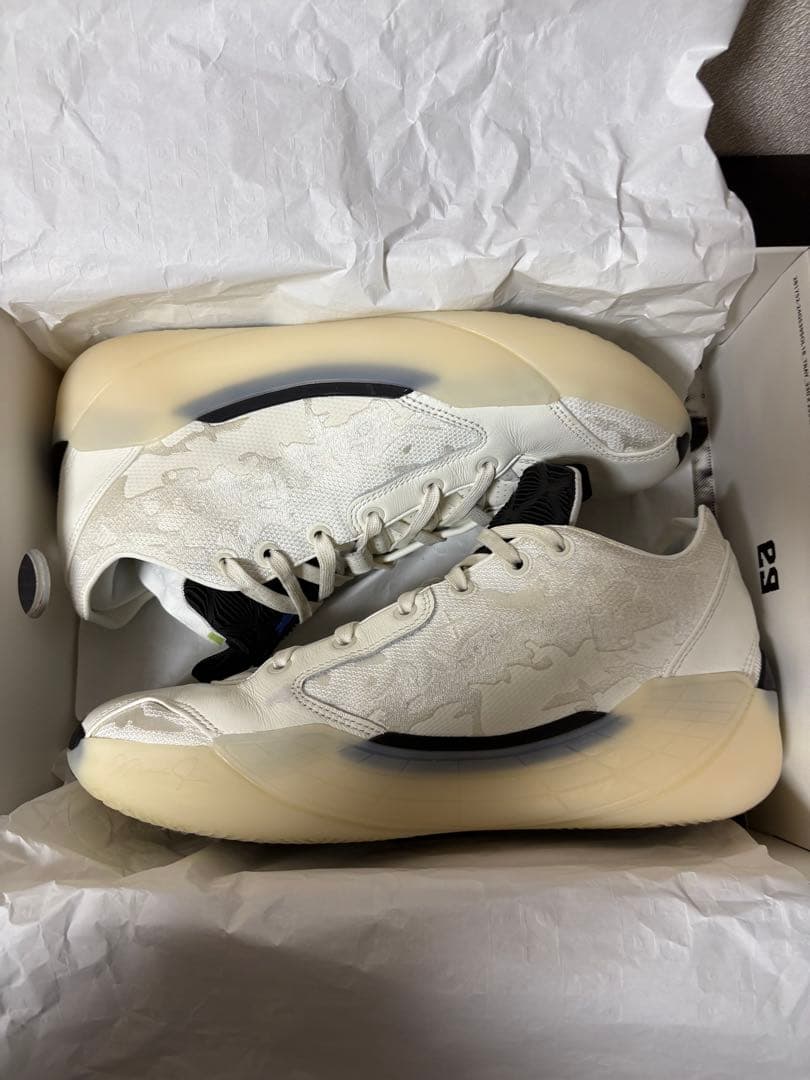【美品中古】Air Jordan 39 PF 28cm(US10)