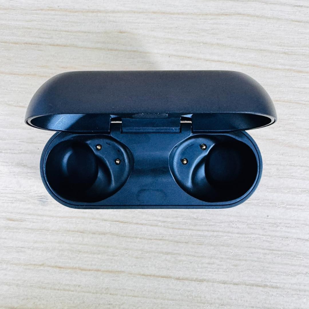 イヤホン T251 Technics AZ100-K Black