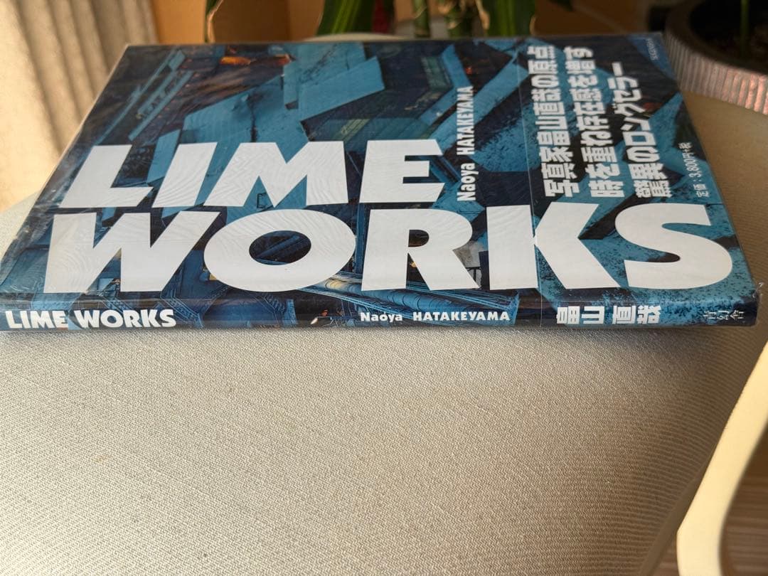 畠山直哉 LIME WORKS Naoya Hatakeyama 中古美品写真集