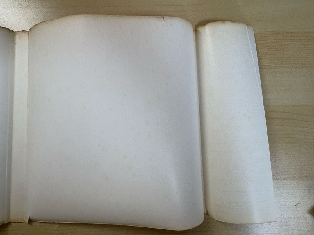 語学・辞書・学習参考書 Conceptions of International Exhibitions