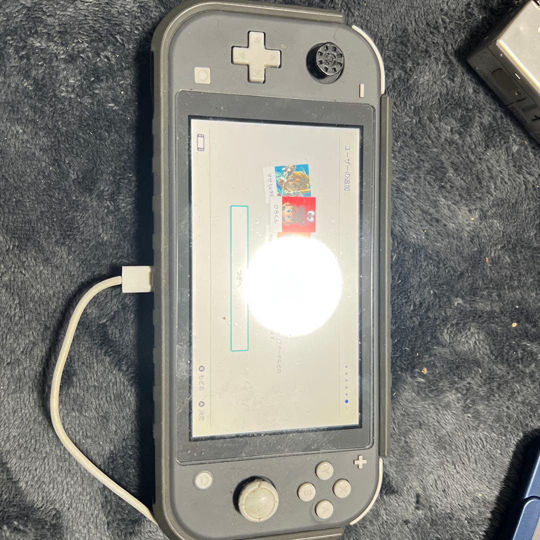 Nintendo Switch Lite グレー 本体のみ、カバー付き