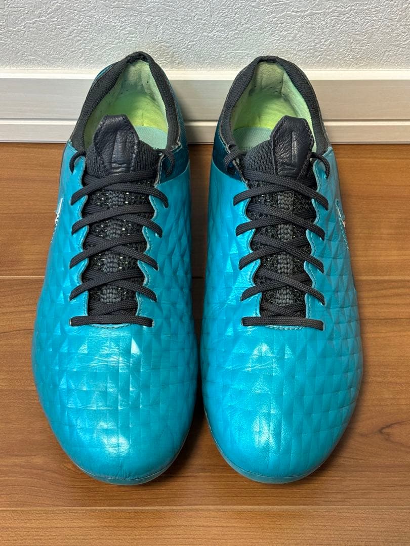 ティエンポレジェンド8 FG