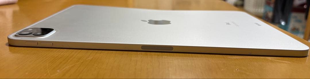 iPad Pro 11インチ（第2世代）2020年モデル 本体 ⚠️ジャンク品