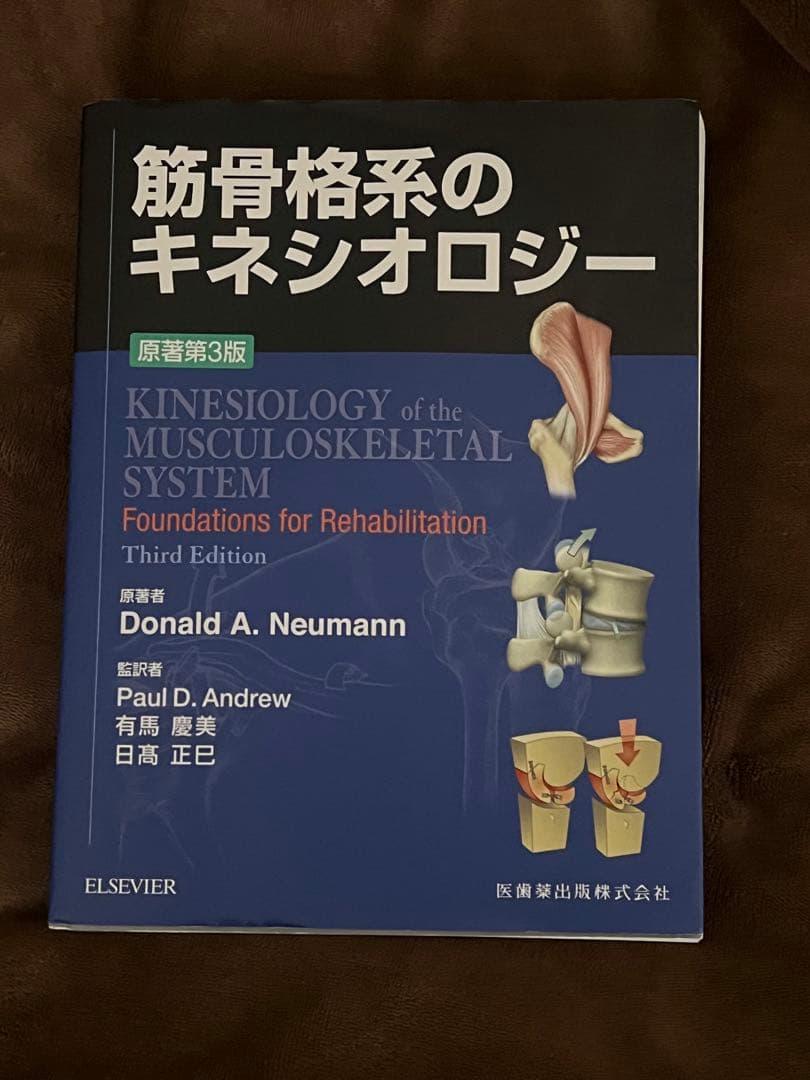 筋骨格系のキネシオロジー