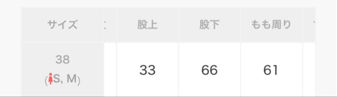 ウィムガゼットMarisolコラボキュプラフィブリルカーゴパンツ