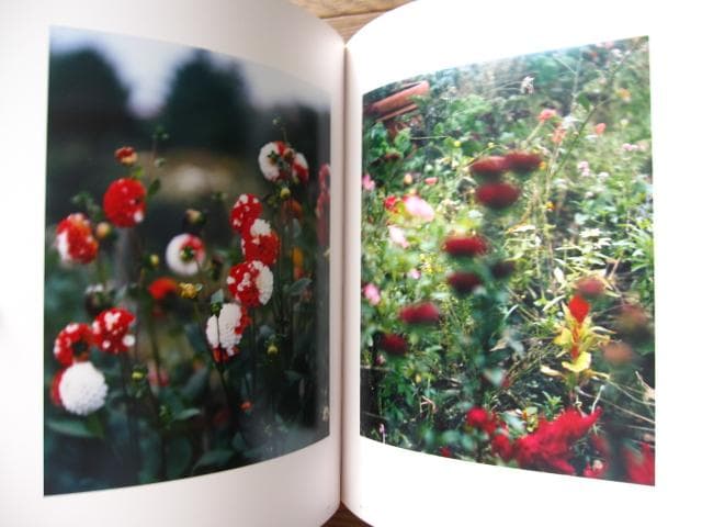 意識の流れ Stream of consciousness　鈴木理策　直筆サイン