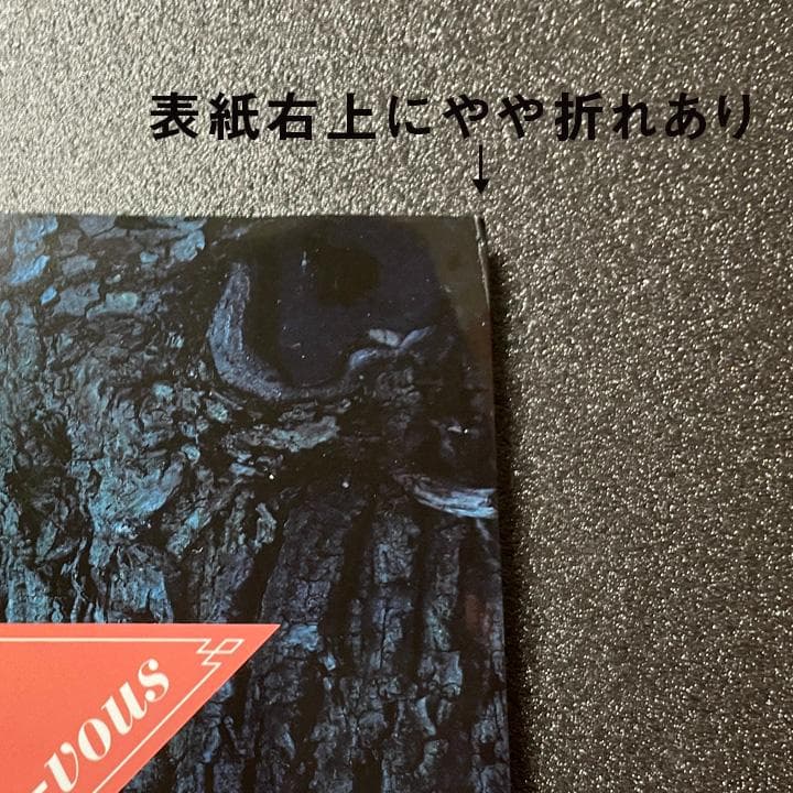 快楽の館 篠山紀信写真集