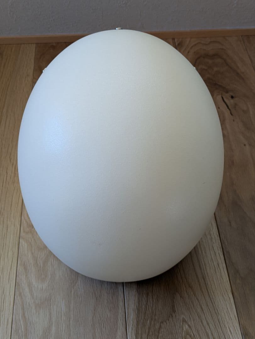 オーシャンビートル　OceanBeetle　lac　ヘルメット