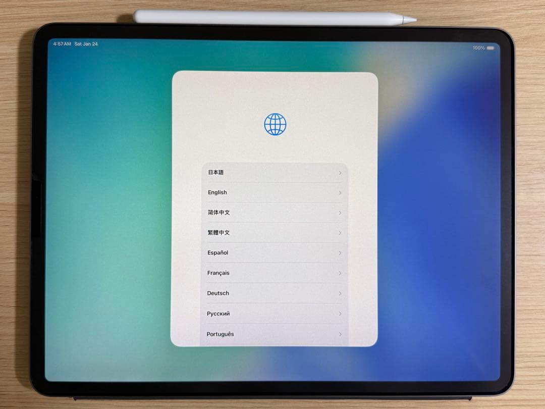 91%ペン付：12.9インチiPad Pro Wi-Fi 64GB （第3世代）