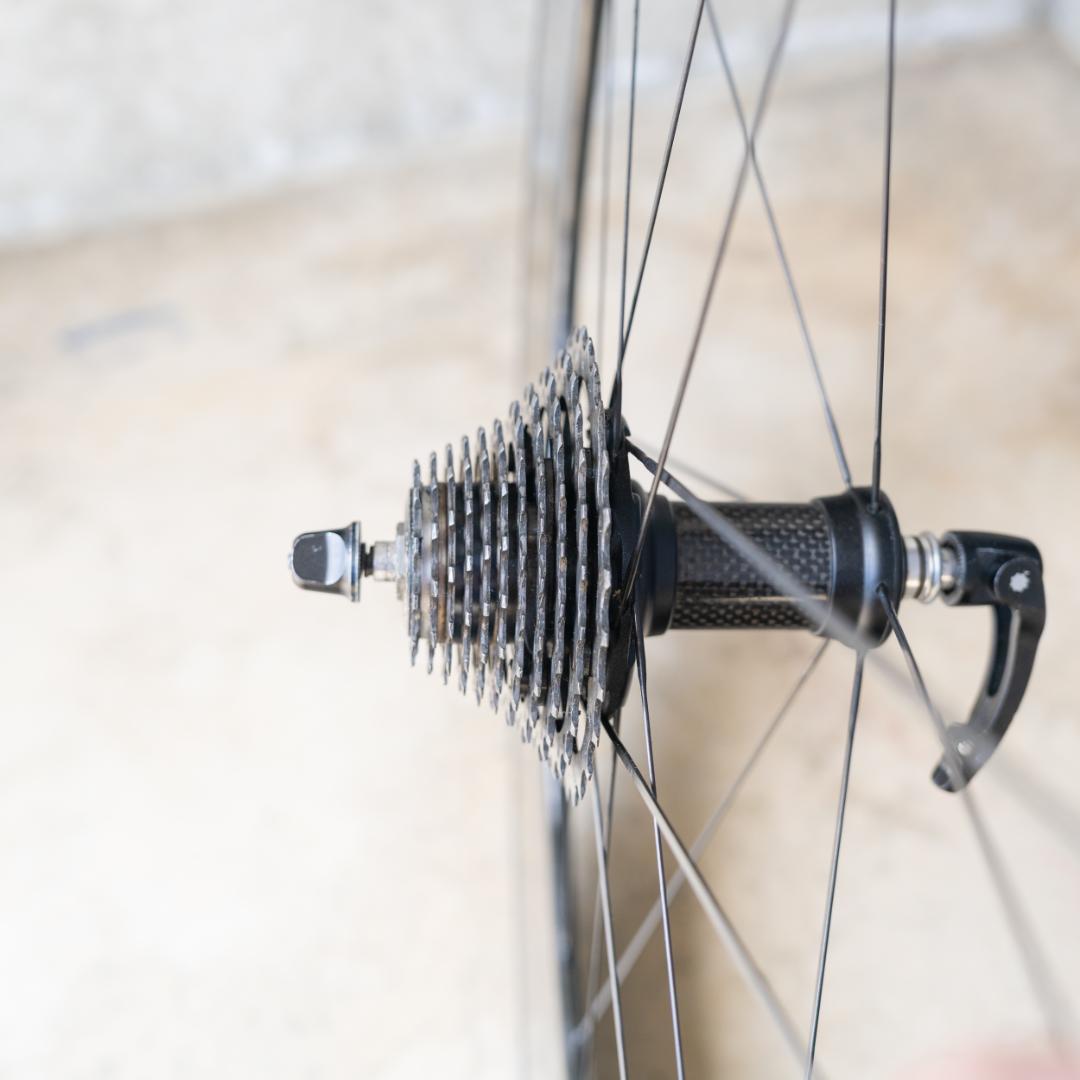 カンパニョーロ BORA ULTRA 80 CULT TU 後輪