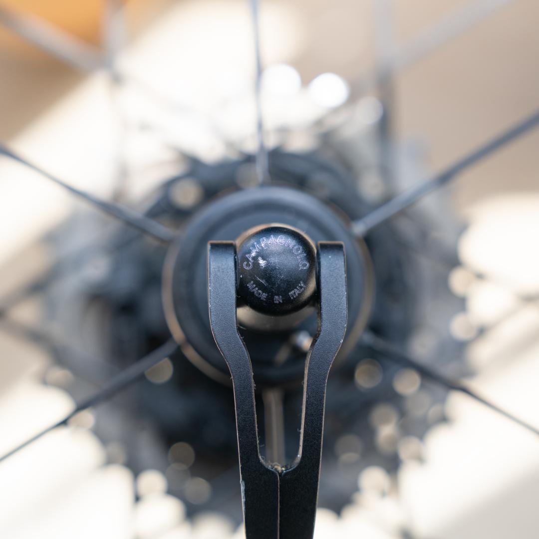 カンパニョーロ BORA ULTRA 80 CULT TU 後輪