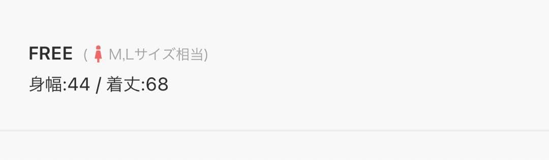 2025AW プランクプロジェクト ランダムヘムレーストップ