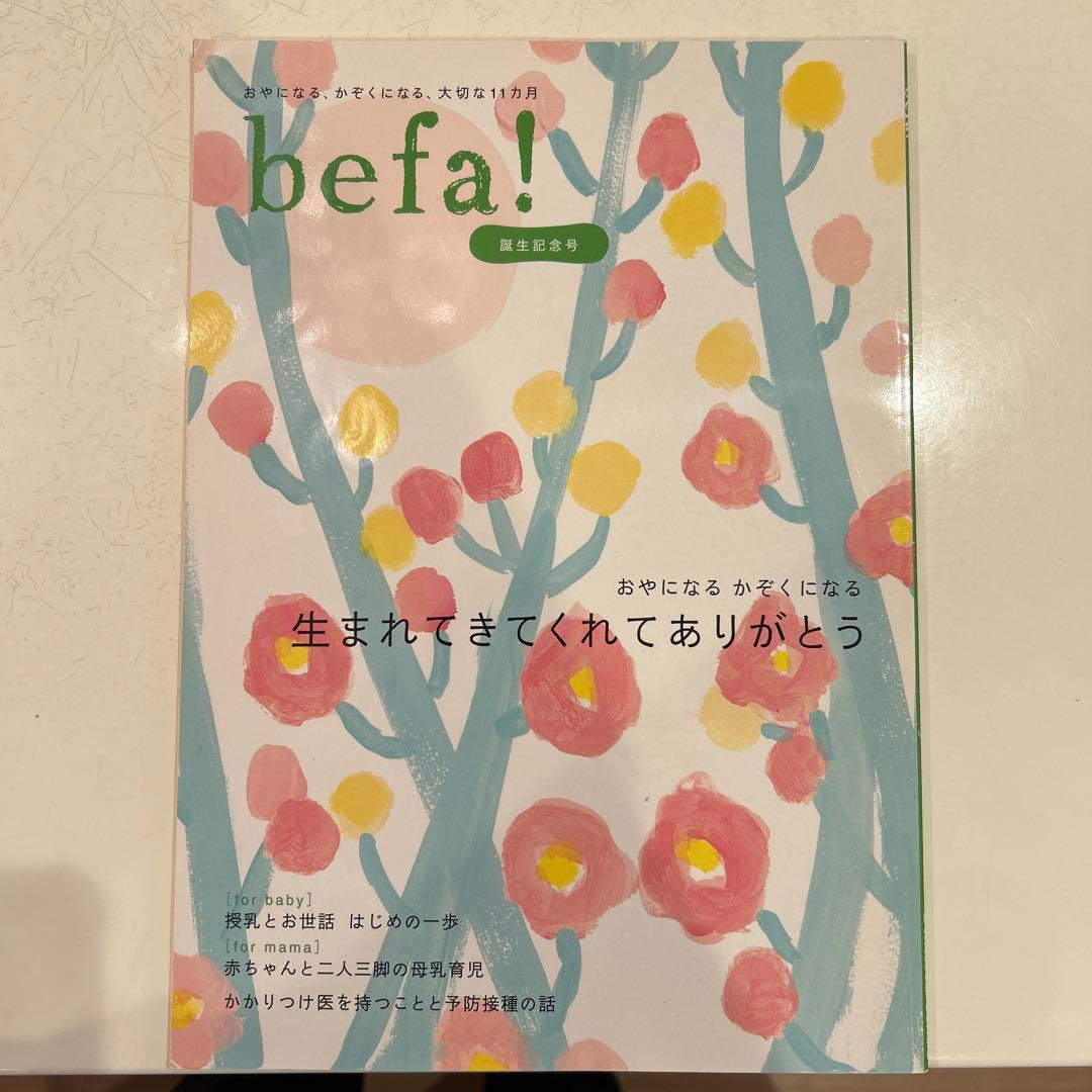 befa! 月刊誌セット