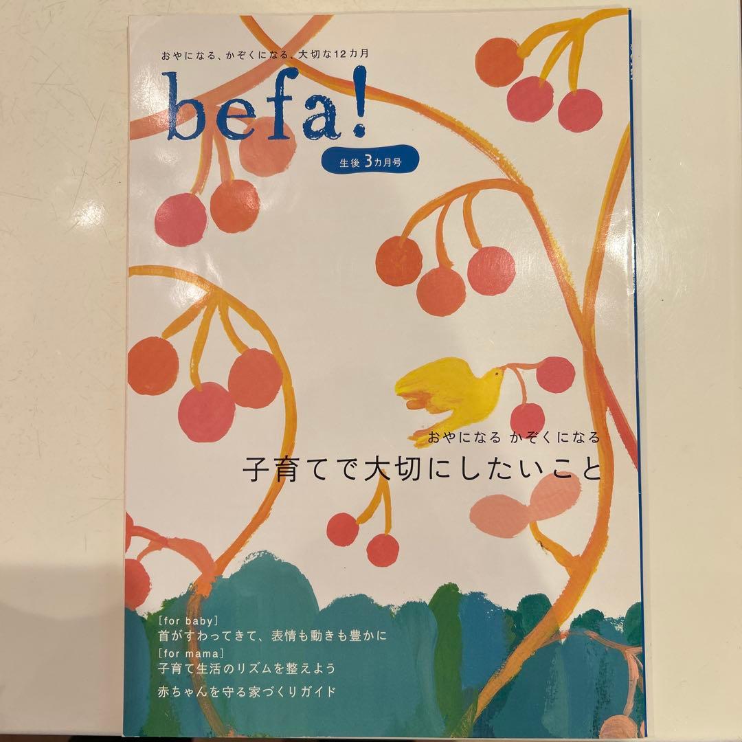 befa! 月刊誌セット