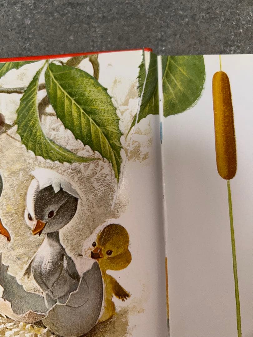 ファブリこども世界名作シリーズ全28巻揃い、テープ付き