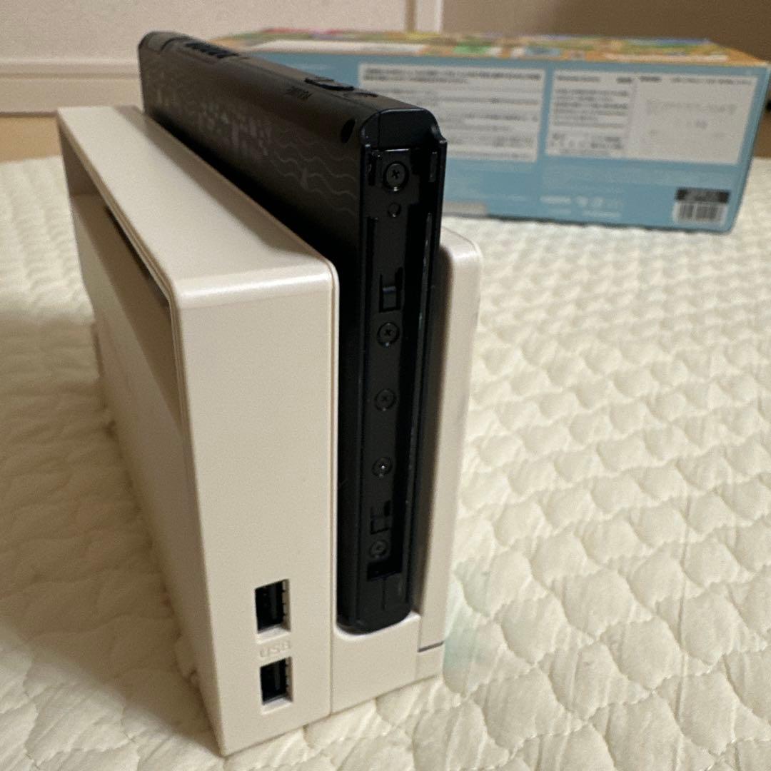 Nintendo Switch あつまれどうぶつの森　デザイン