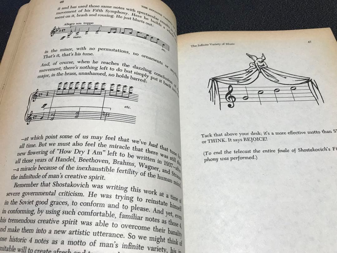 洋書LEONARD BERNSTEIN THE INFINITE VARIETY