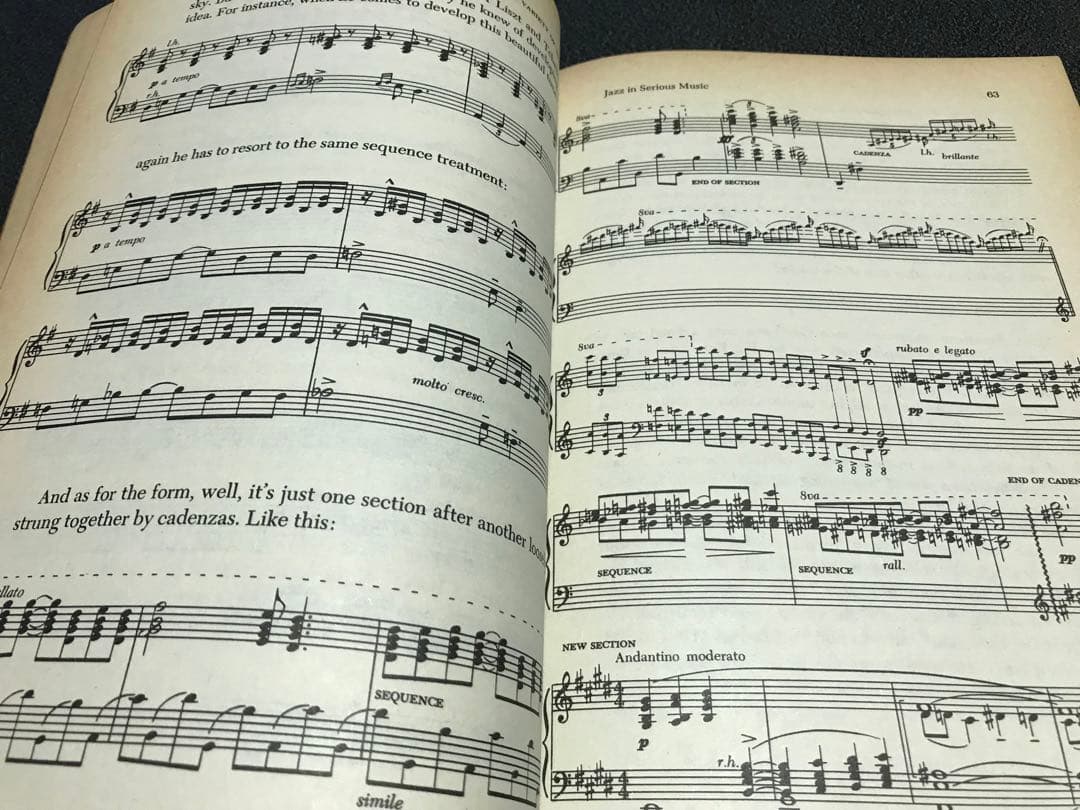 洋書LEONARD BERNSTEIN THE INFINITE VARIETY