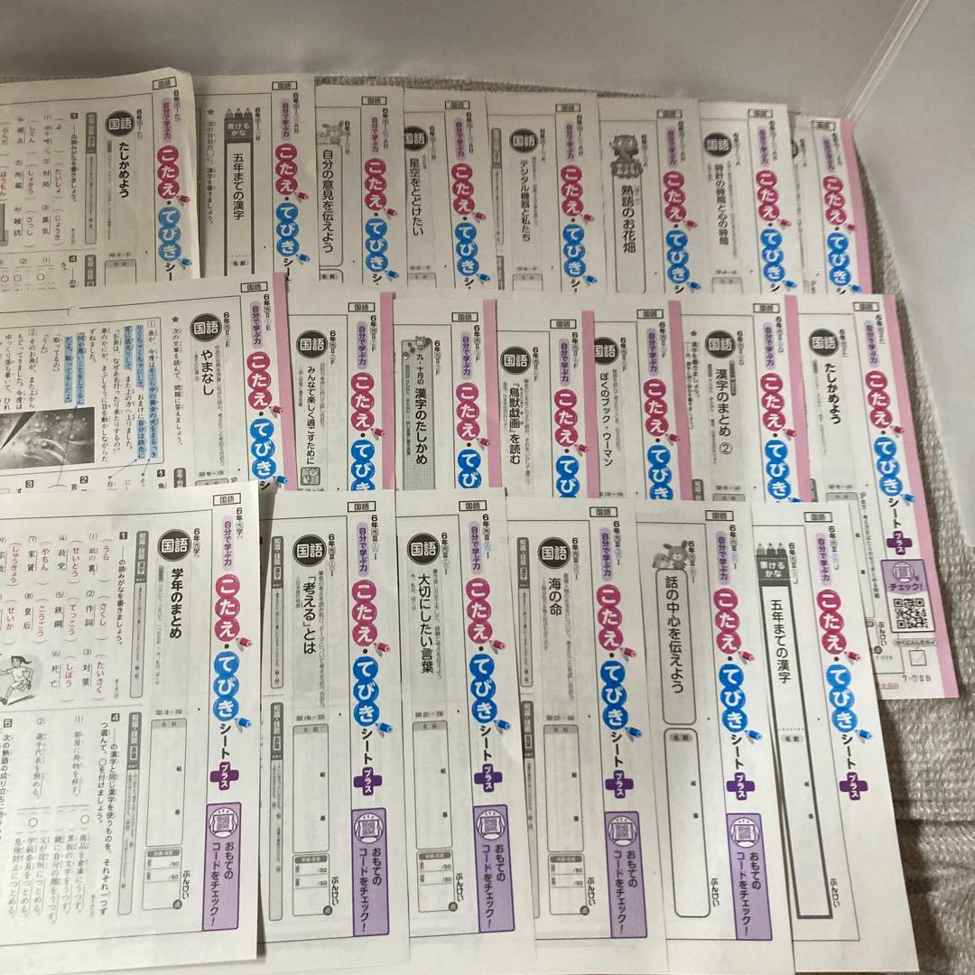 6年　国語　カラーテスト　答え　1年分　ぶんけい