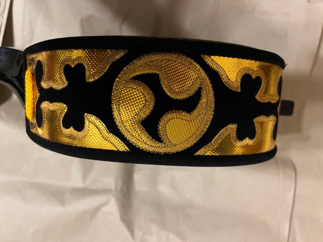 沖縄三線 本体　初心者教本付き