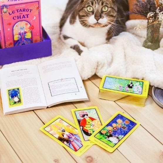 ★正規品タロットカード★フランスの激かわデッキ✨キュートな猫たちのタロットカード