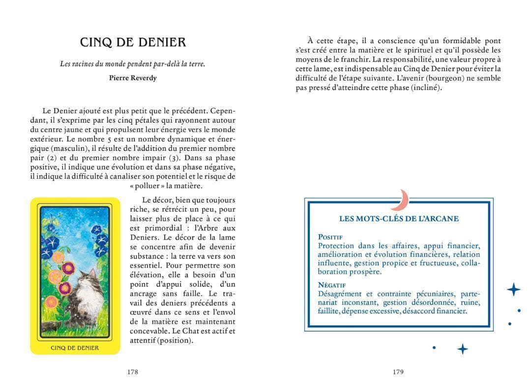 ★正規品タロットカード★フランスの激かわデッキ✨キュートな猫たちのタロットカード