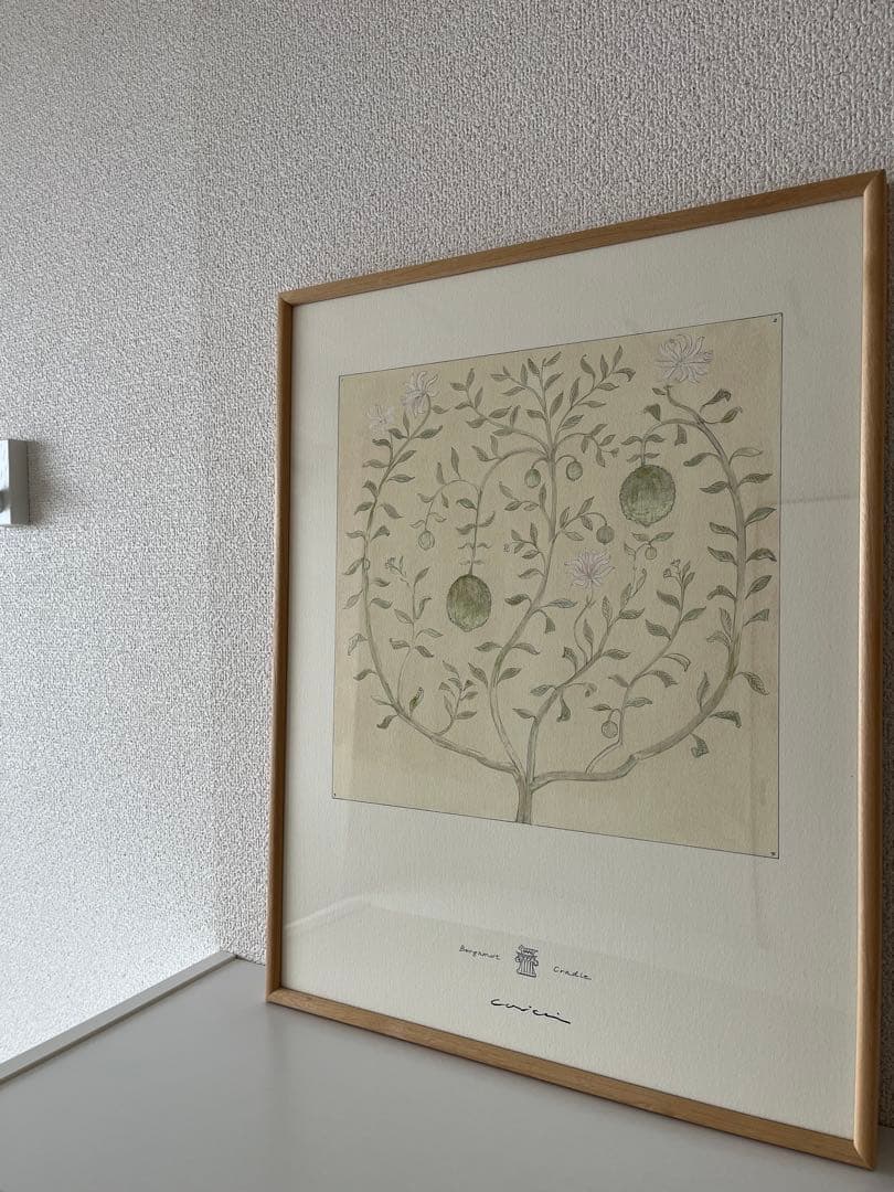 美品【coricci】コリッチ 【botanicalベルガモットの揺りかご】