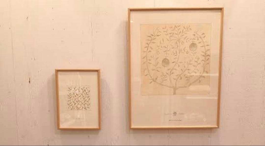 美品【coricci】コリッチ 【botanicalベルガモットの揺りかご】