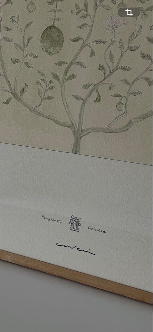 美品【coricci】コリッチ 【botanicalベルガモットの揺りかご】