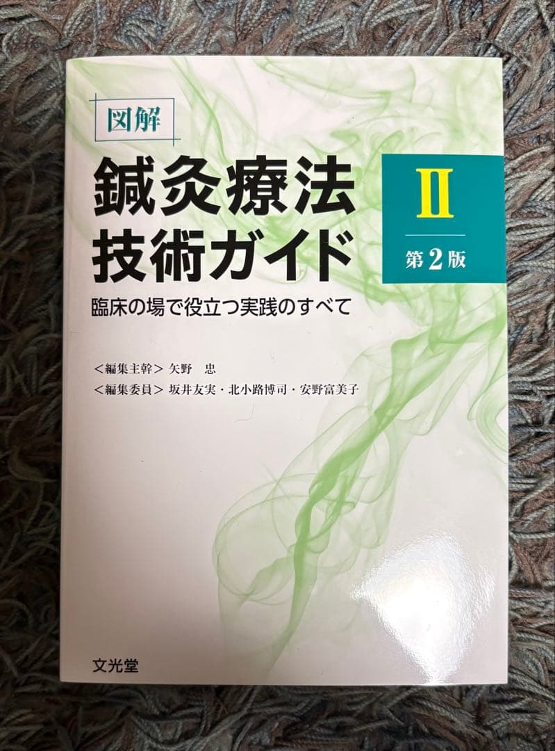 図解鍼灸療法技術ガイド : 臨床の場で役立つ実践のすべて. 2