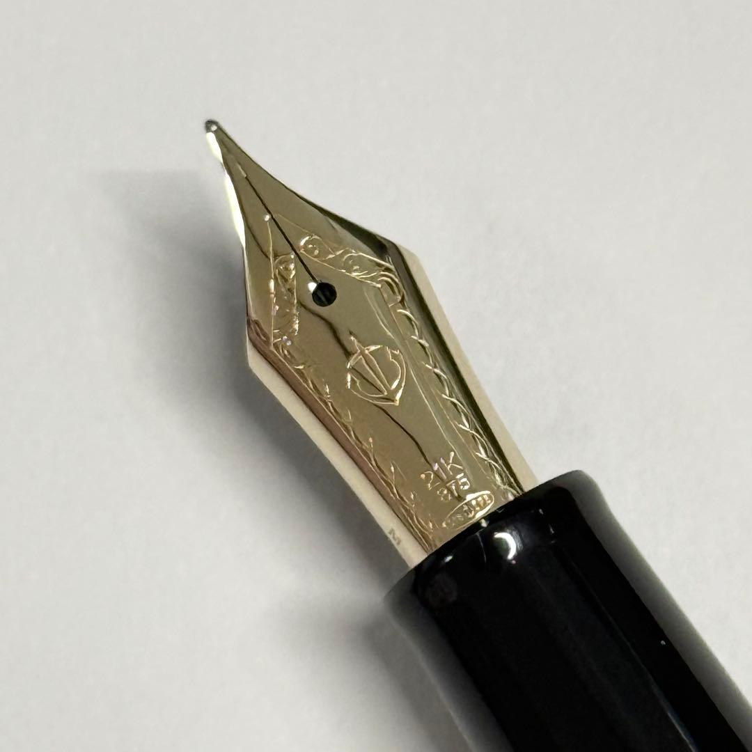 SAILOR セーラー 伝統漆芸 麗 石川 創作加賀塗 万年筆 中字