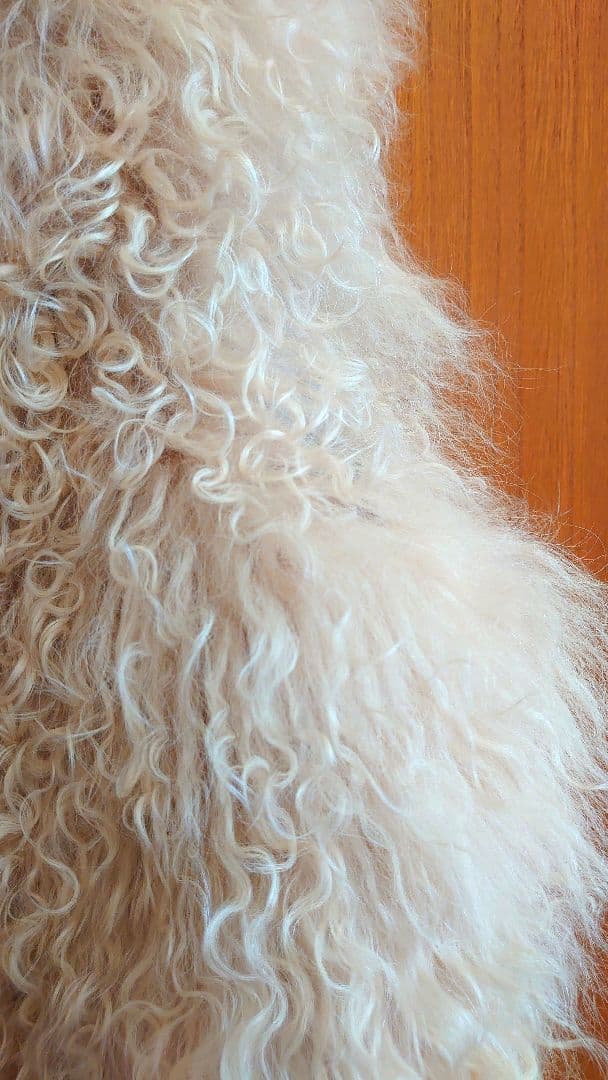 【ジルスチュアート】　軽くて暖かいシープ（羊の毛）のベスト