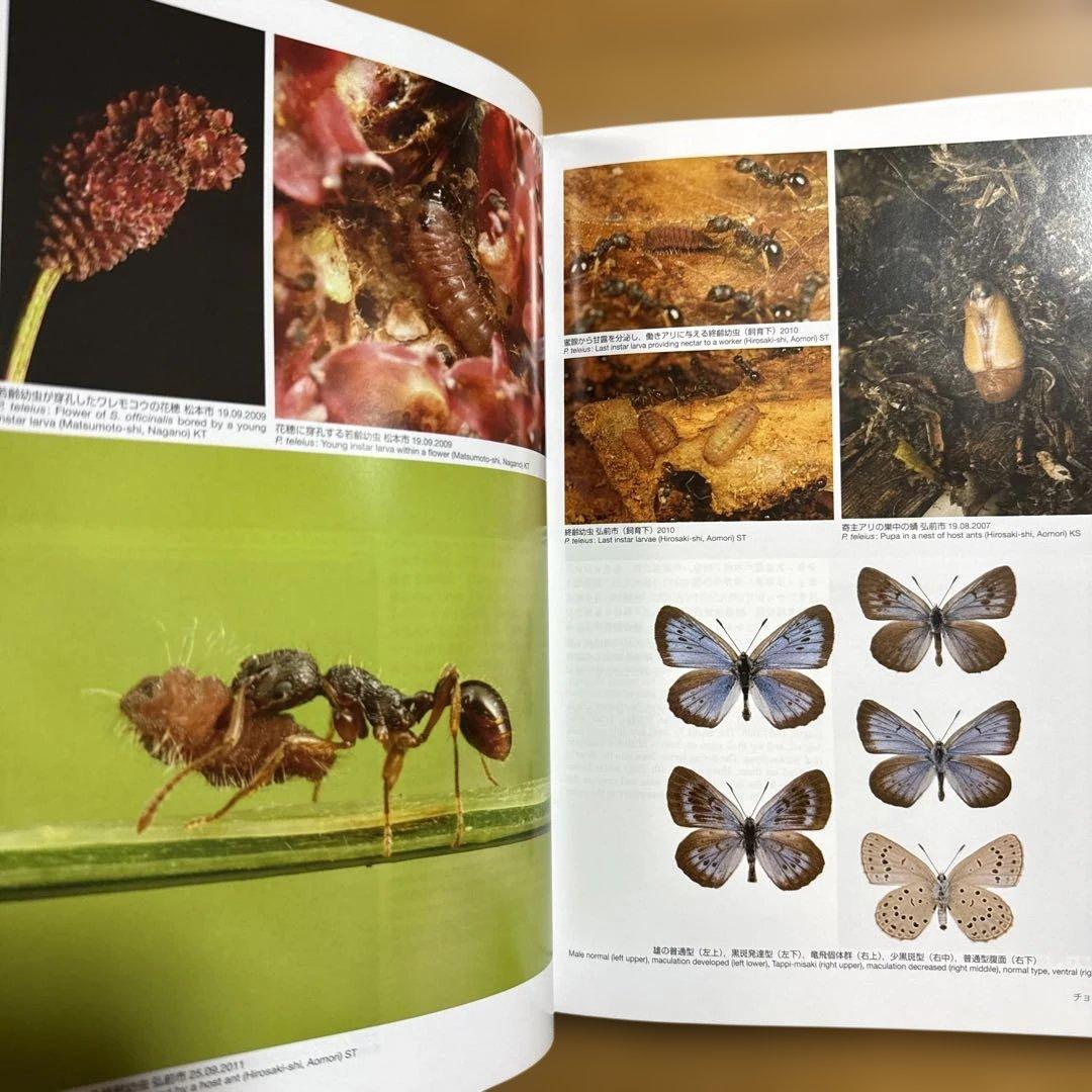 アリの巣の生きもの図鑑 = The Guests of Japanese An…