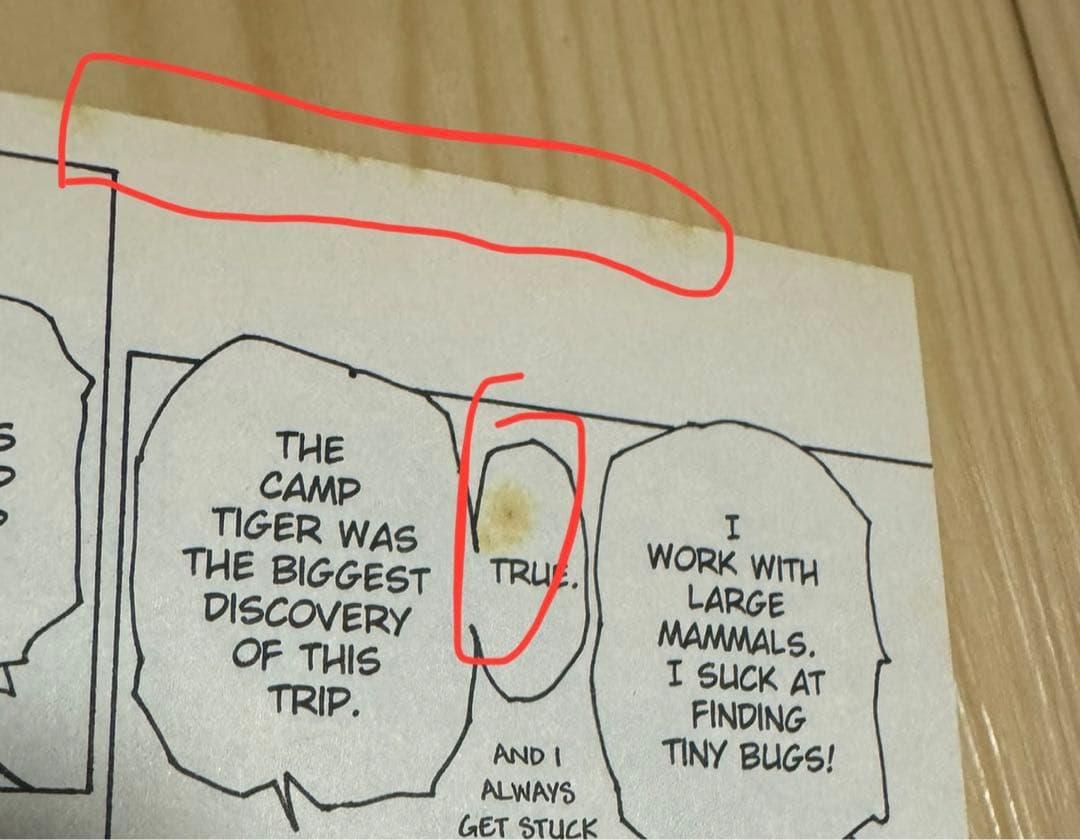 Hunter x Hunter 英語版　漫画　English Manga