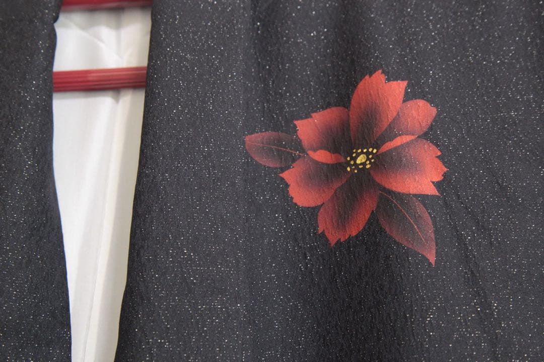 振袖フルセット 美品　黒と赤 モダン クール