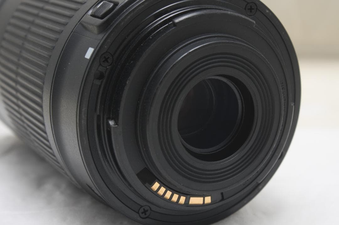 キヤノン EF-S 55-250mm F4-5.6 IS STM 3393