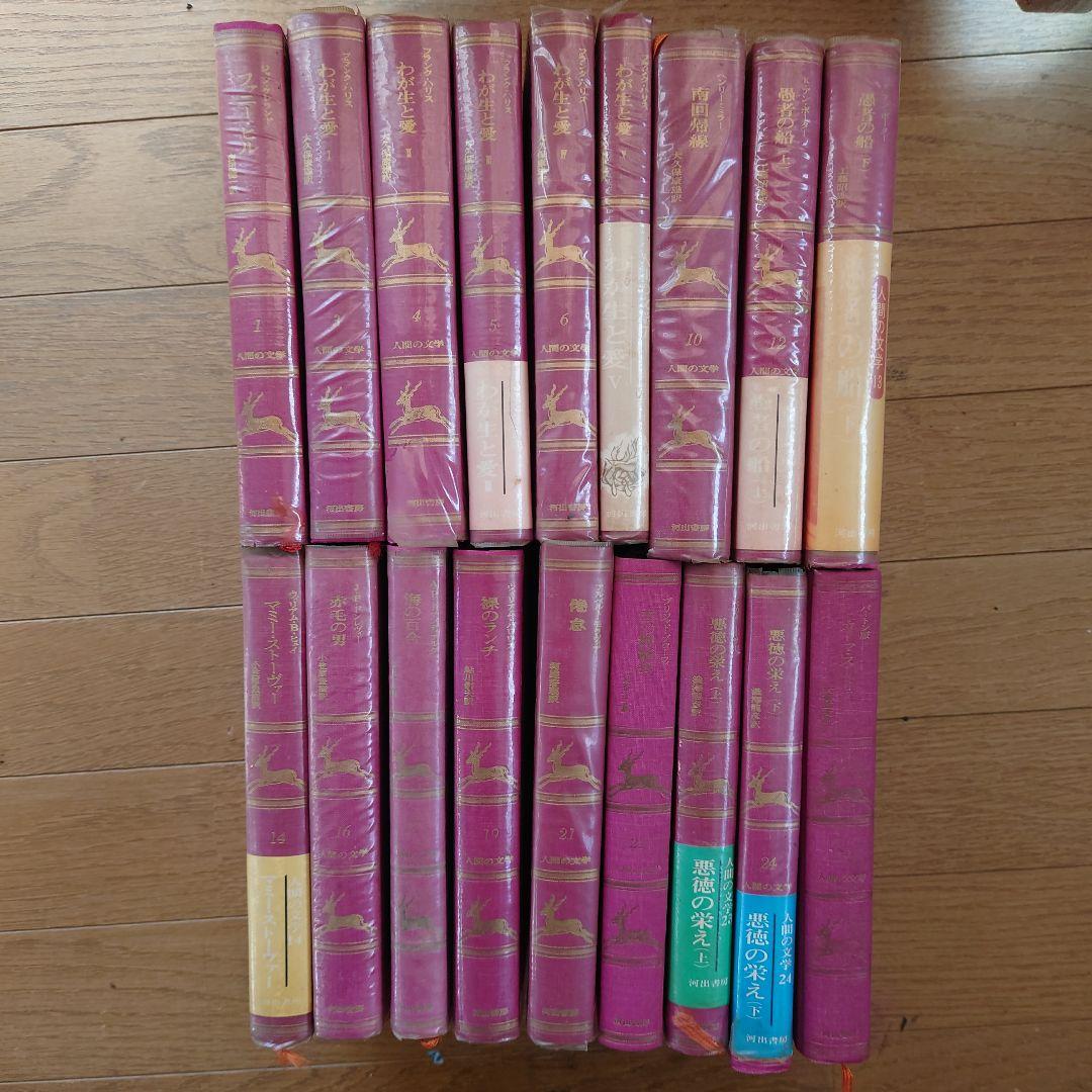 絶版人間の文学 河出書房 希少本18冊