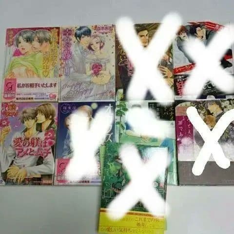 BL小説 色々　バラ売り　BL文庫