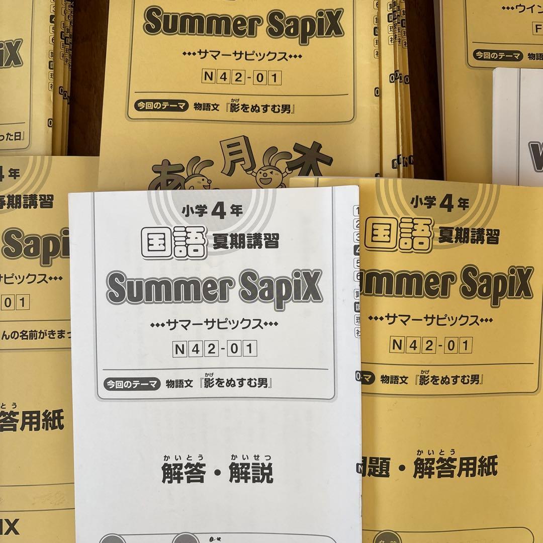 SAPIX小学4年　国語デイリーサピックス春期夏期冬期講習セット