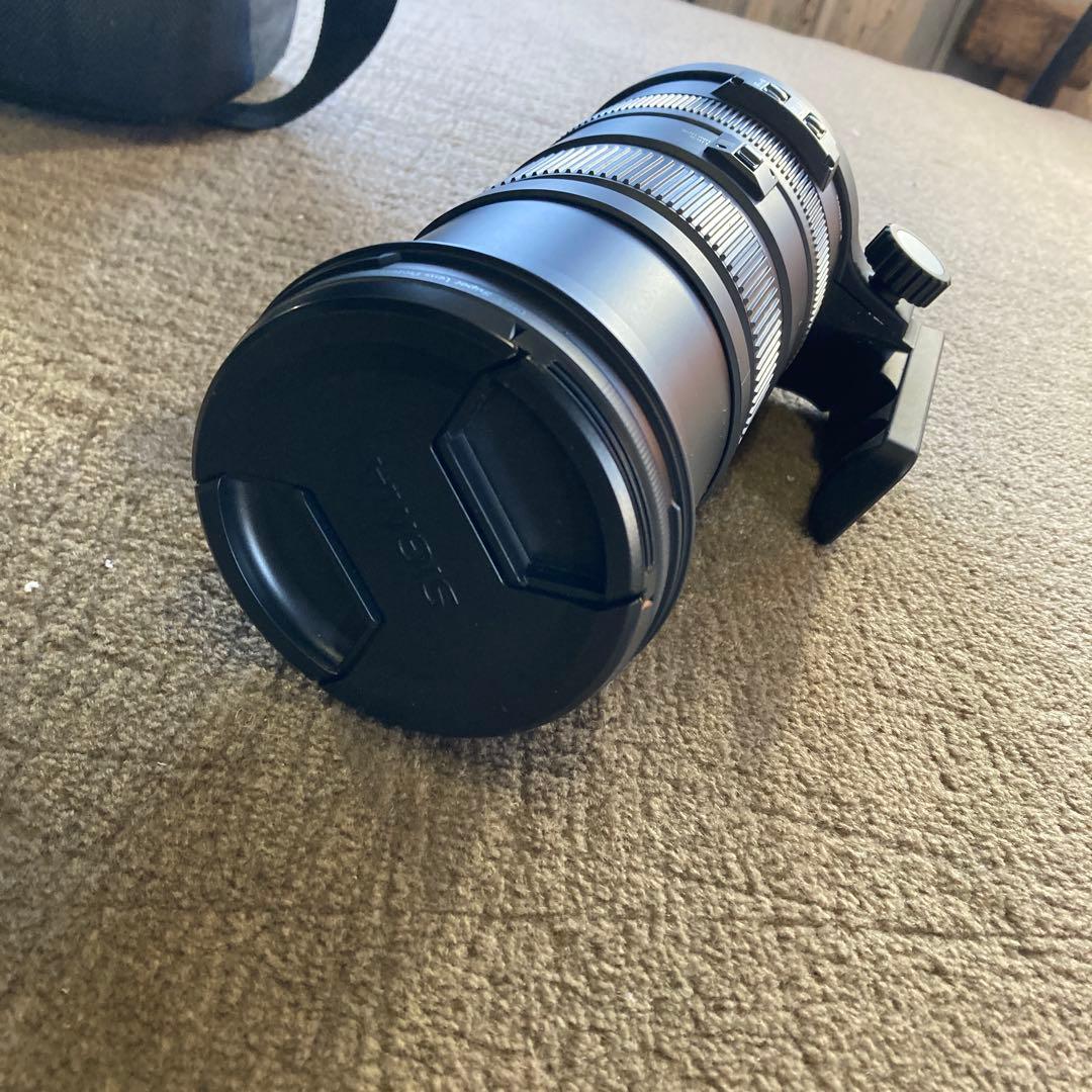 r*4様 シグマ150-500mm F5-6.3APO DG OS HSM キヤ