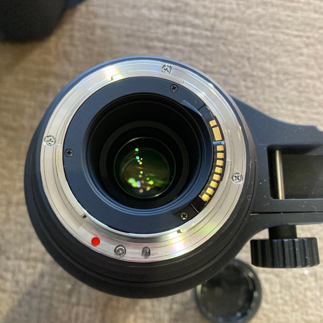 r*4様 シグマ150-500mm F5-6.3APO DG OS HSM キヤ