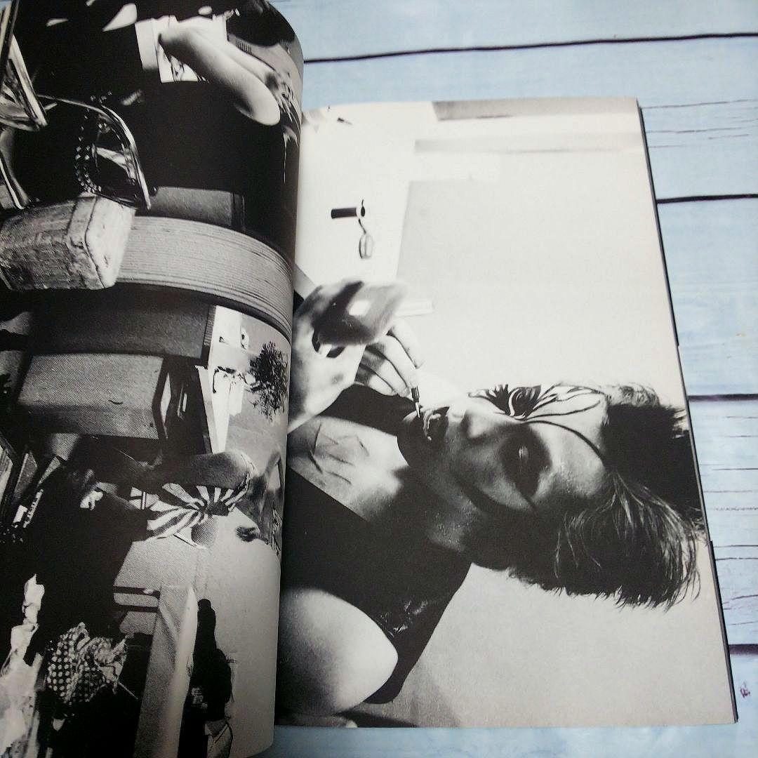 遠藤ミチロウ・ライブ写真集　吐き気がするほどロマンチックだぜ !　ザ・スターリン