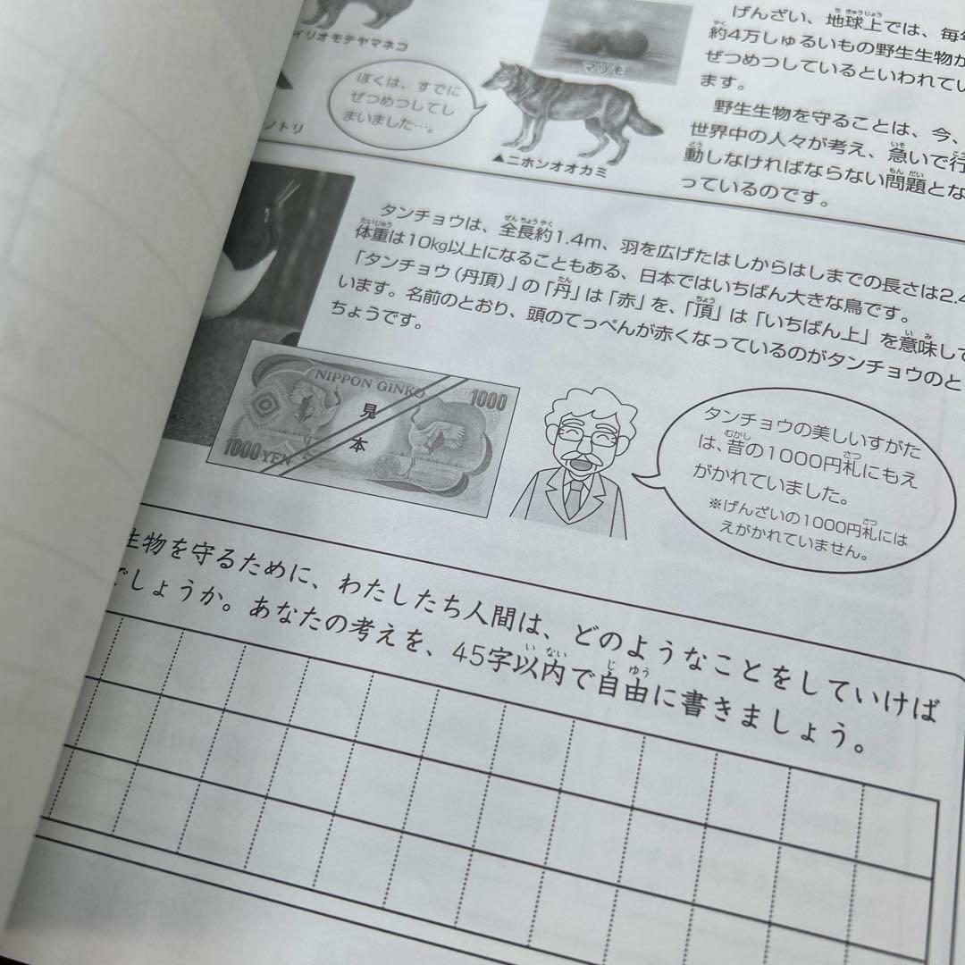 ㉒や　書き込みなし　サピックス　SAPIX ３年　社会　夏期講習　冬期講習