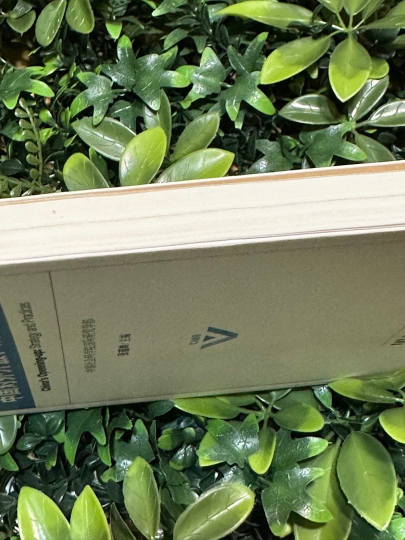 中国対外開放：戦略と実践／国際研究 CASS 国際政治