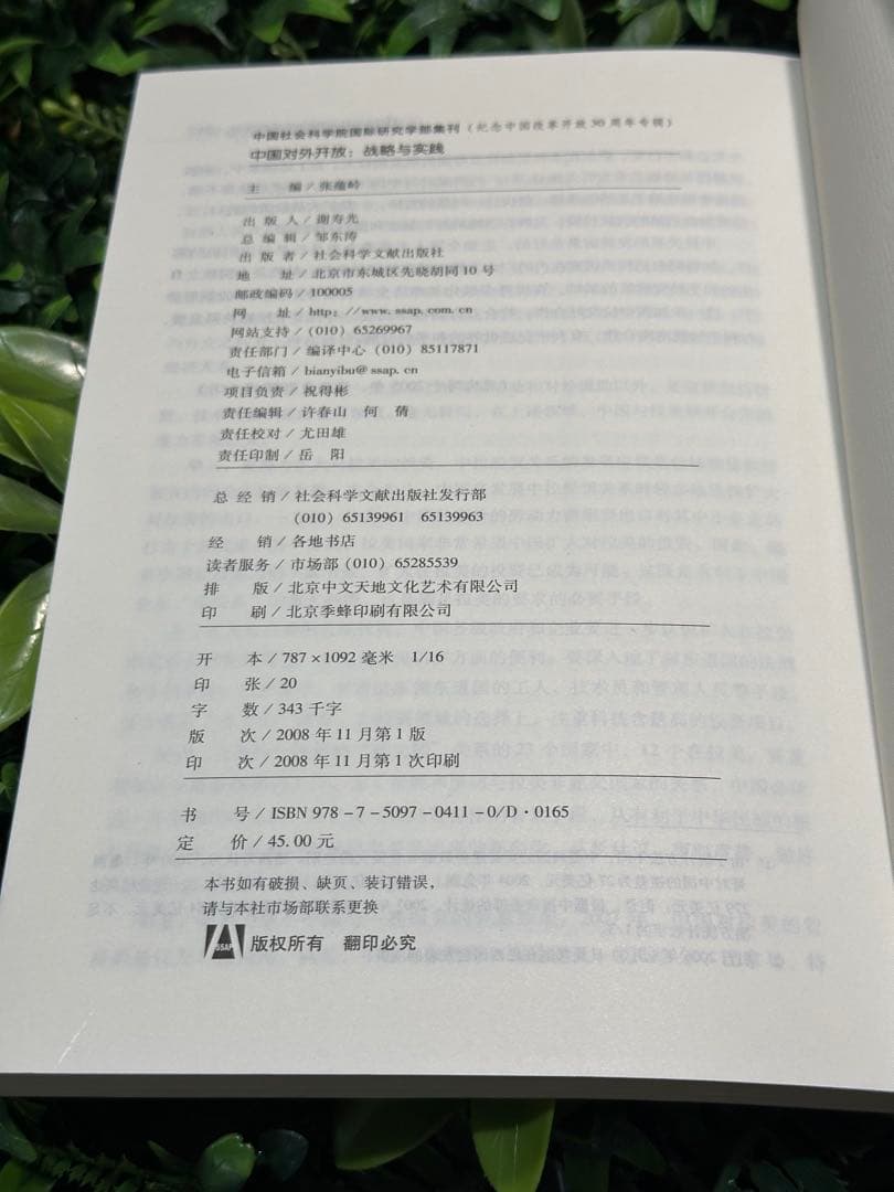 中国対外開放：戦略と実践／国際研究 CASS 国際政治