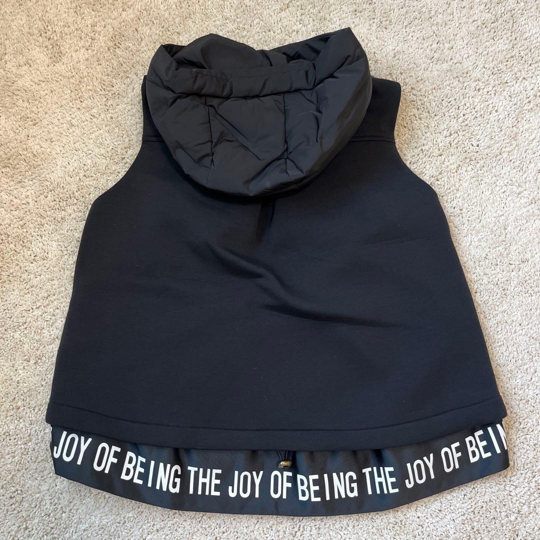 ヤマダヤ　ダウンベスト　スコットクラブ