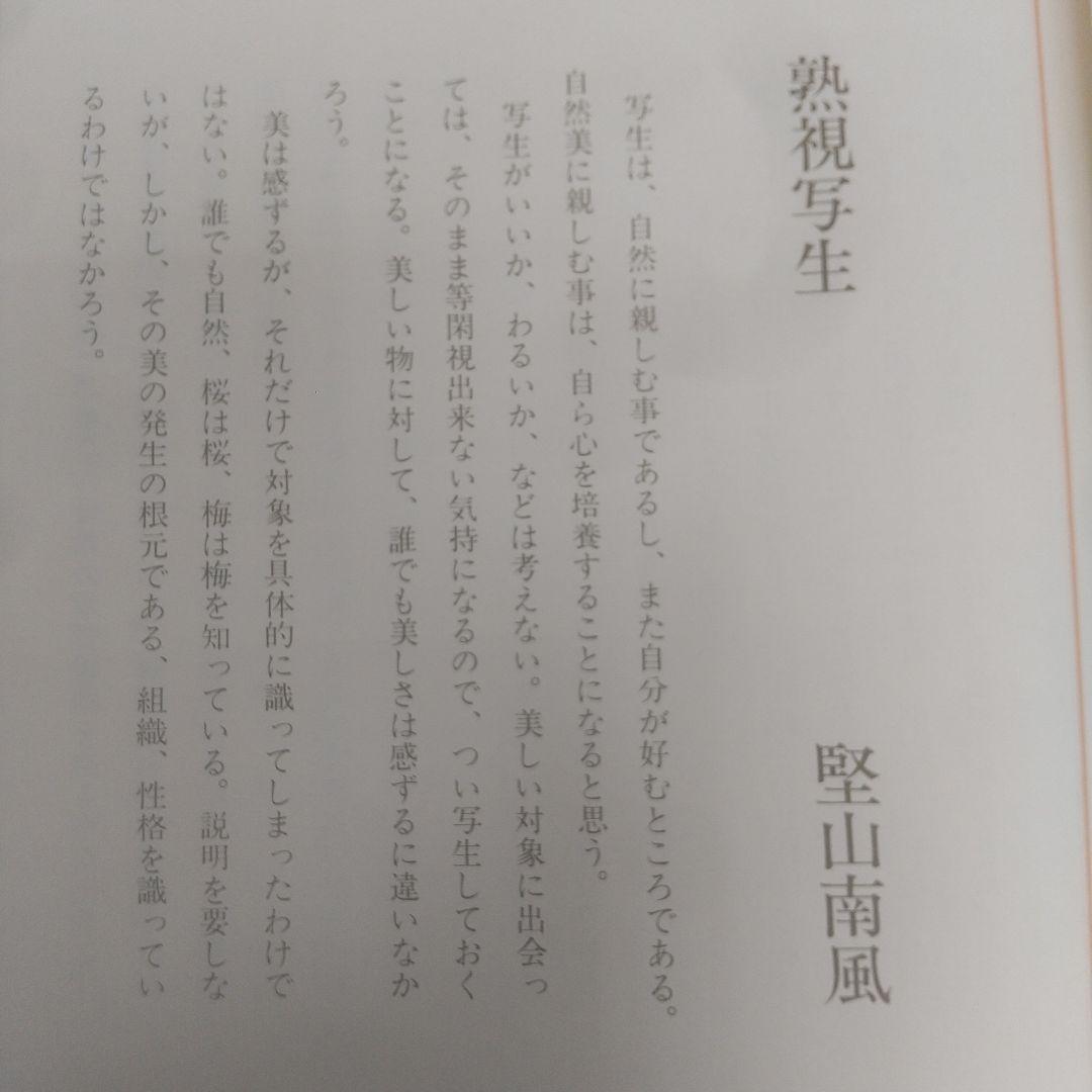 堅山南風素描 花