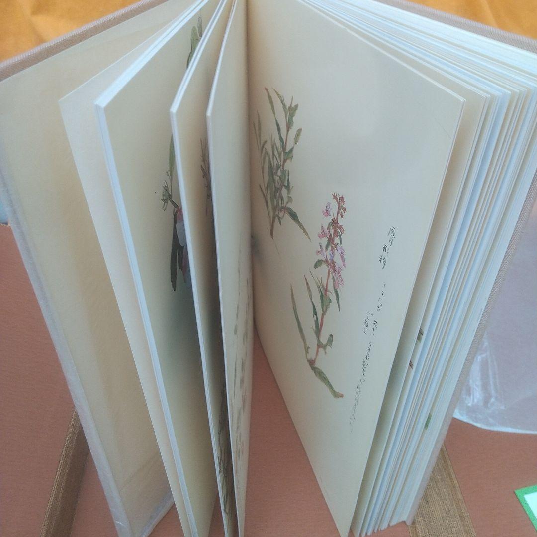 堅山南風素描 花