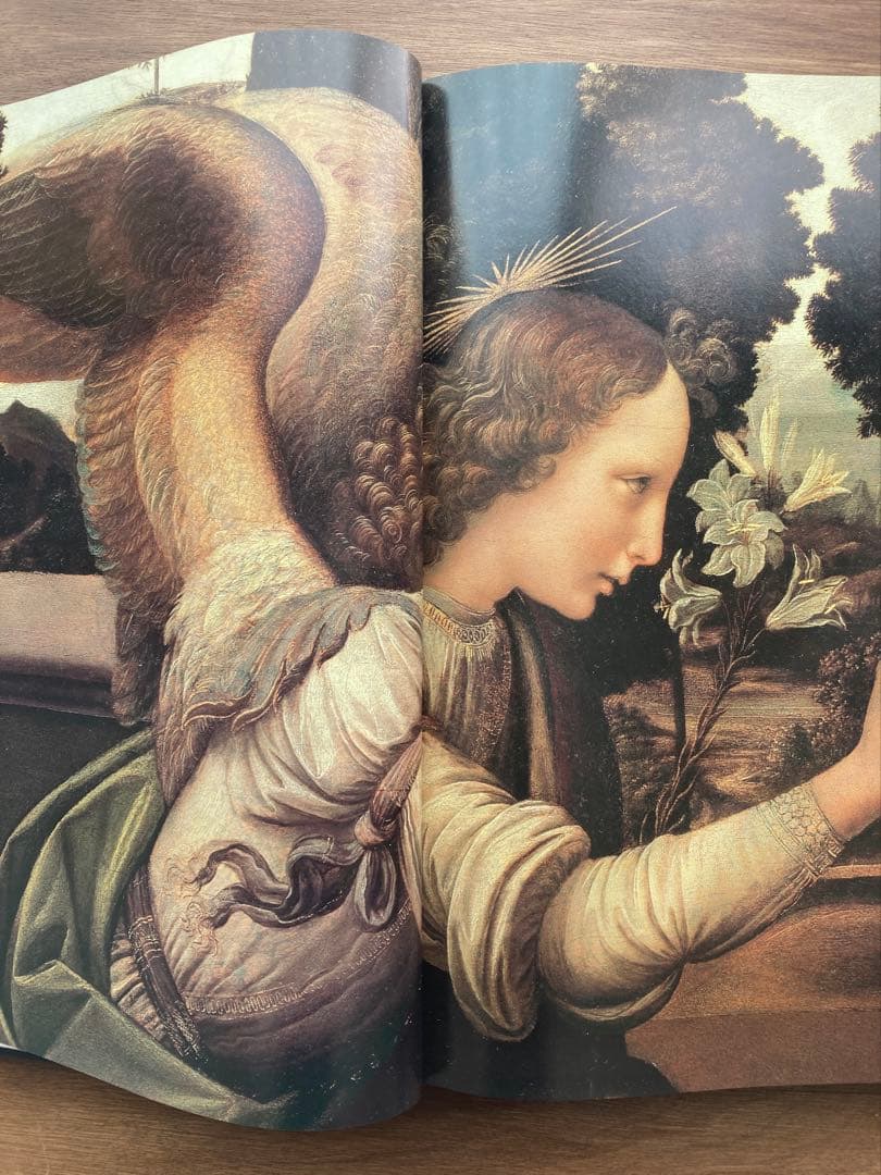 レオナルド・ダ・ヴィンチ 全絵画作品・素描集